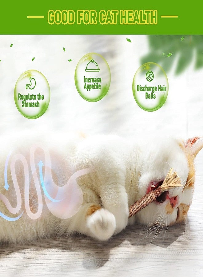 Inralimot 1 Pack Silvervine Cat Toy, Silvervine Sticks Toys for Indoor Cats, Cat & Kitten Chew Toys for Aggressive Chewers, Cat Dental Toy for Kitten Teeth Cleaning, Matatabi Silvervine for Cats. - Image 2